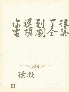 你迟到了很多年电视剧全集免费观看