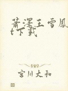 萧泽王雪凤txt下载封面