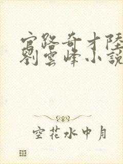 官路奇才陆羽和刘云峰小说