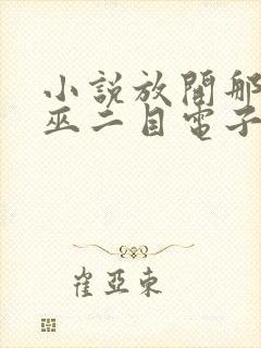 小说放开那个女巫二目电子书全集