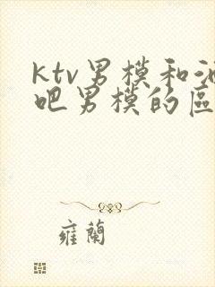 ktv男模和酒吧男模的区别