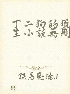 丁二狗的猎艳人生小说无删减下载封面