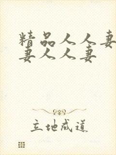 精品人人妻人人妻人人妻