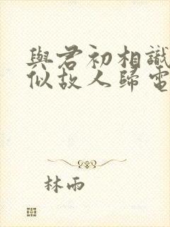 与君初相识·恰似故人归电视剧免费看