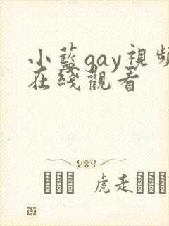 小蓝gay视频在线观看