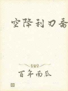 空降利刃乔梁封面