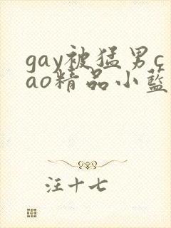 gay被猛男cao精品小蓝封面