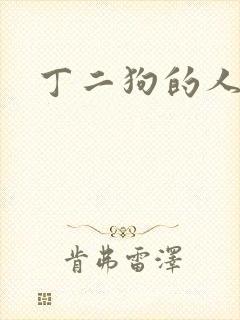 丁二狗的人生