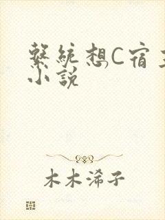 系统想C宿主的小说