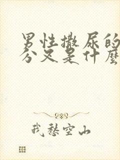 男性撒尿的时候分叉是什么毛病