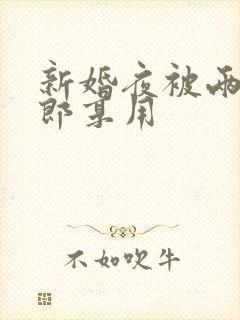 新婚夜被两个伴郎享用封面