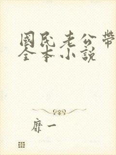 国民老公带回家全本小说封面