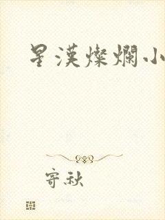 星汉灿烂小说