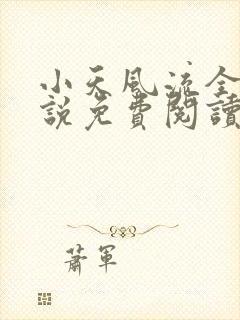 小天风流全集小说免费阅读