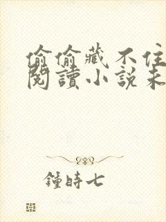 偷偷藏不住免费阅读小说未删减