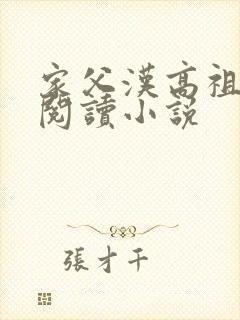 家父汉高祖全文阅读小说