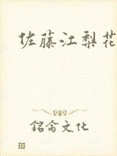 佐藤江梨花封面