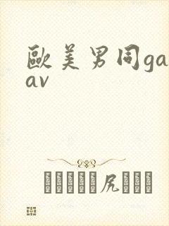 欧美男同gayav