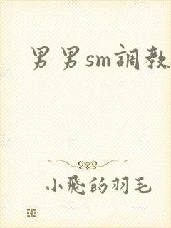 男男sm调教文