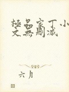 极品家丁小说全文无删减