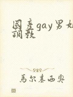 国产gay男奴调教