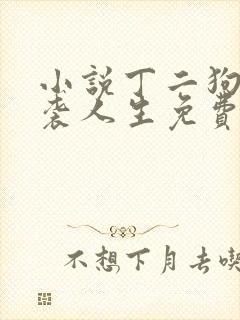 小说丁二狗的逆袭人生免费阅读