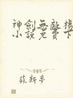 神剑无敌杨小天小说免费下载封面