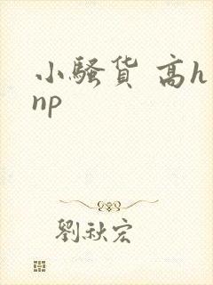 小骚货 高h np封面