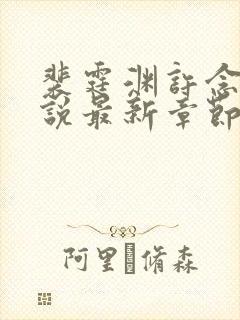 裴霆渊许念笙小说最新章节免费阅读封面