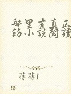 哪里有真正免费的小说阅读封面