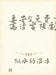 妻子5免费完整高清电视剧看