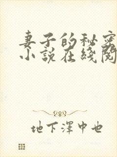 妻子的秘密薛星小说在线阅读