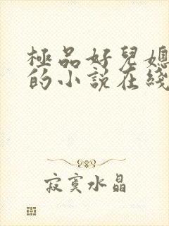 极品好儿媳秦雨的小说在线阅读无弹窗封面