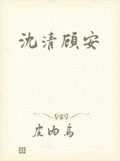 沈清顾安封面