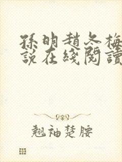 孙明赵冬梅的小说在线阅读无弹窗