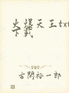 火爆天王txt下载封面