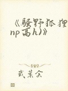 《骚野狐狸精(np高h)》封面