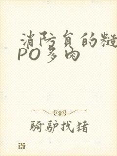 消防员的糙汉文PO多肉