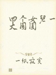 四个女儿一锅烩大团圆封面