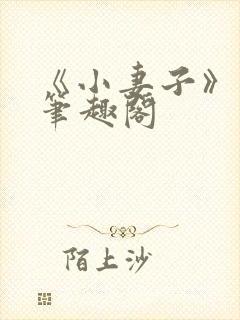 《小妻子》云间笔趣阁