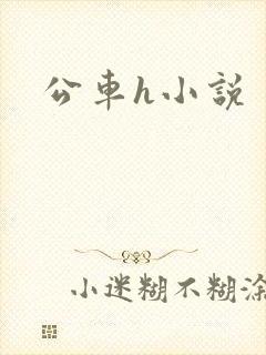 公车h小说封面