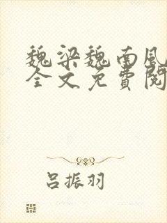 魏梁魏南风po全文免费阅读笔趣阁