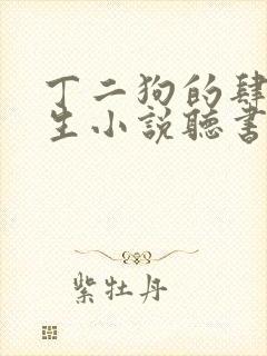 丁二狗的肆意人生小说听书免费