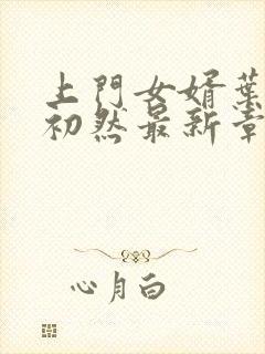 上门女婿叶辰萧初然最新章节免费阅读书