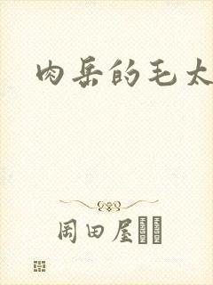 肉岳的毛太浓了封面