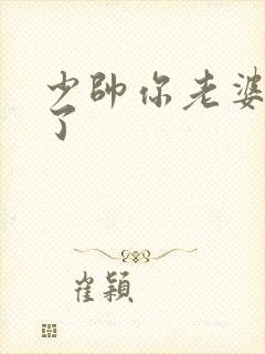 少帅你老婆又跑了封面