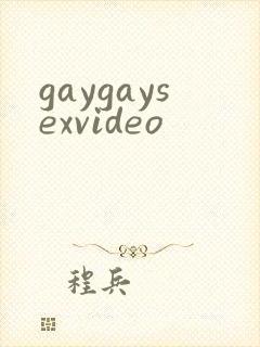 gaygaysexvideo