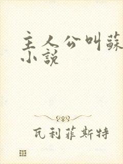 主人公叫苏景的小说