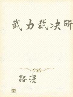 武力裁决所封面