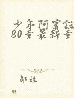 少年阿宾钰慧篇80章最新章节